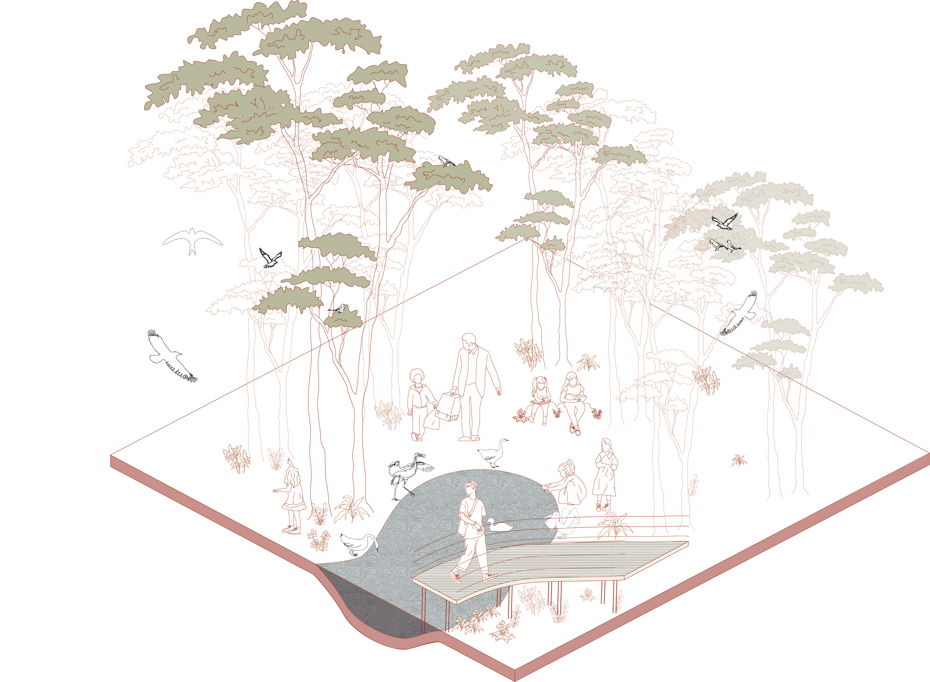 Transforming Landscapes-6