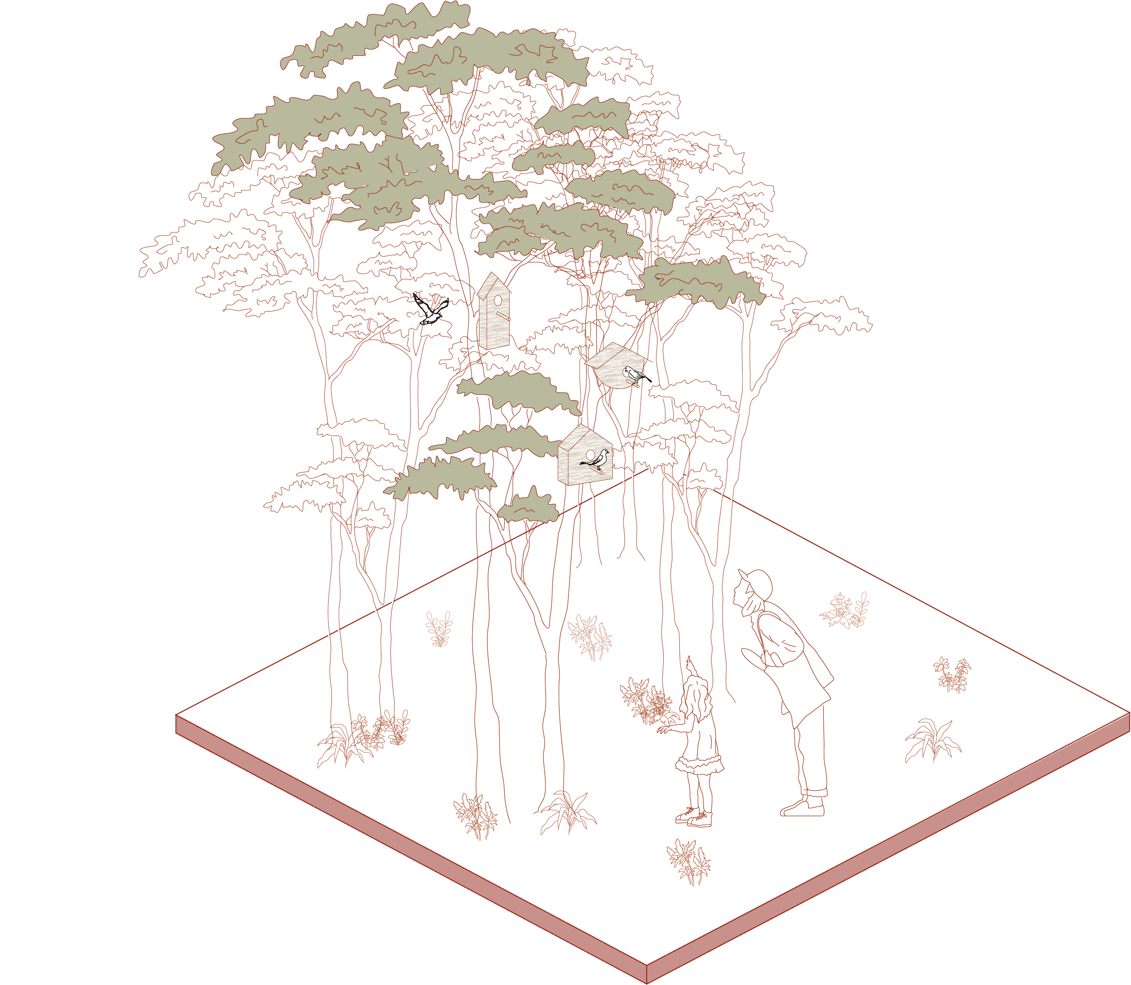 Transforming Landscapes-7