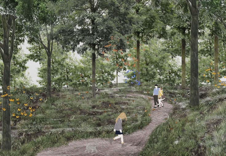 Transforming Landscapes-9